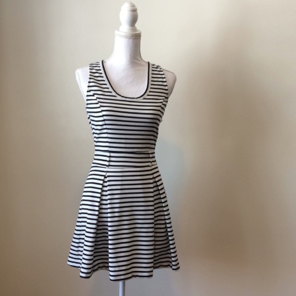 Sans Souci Pleated Dress